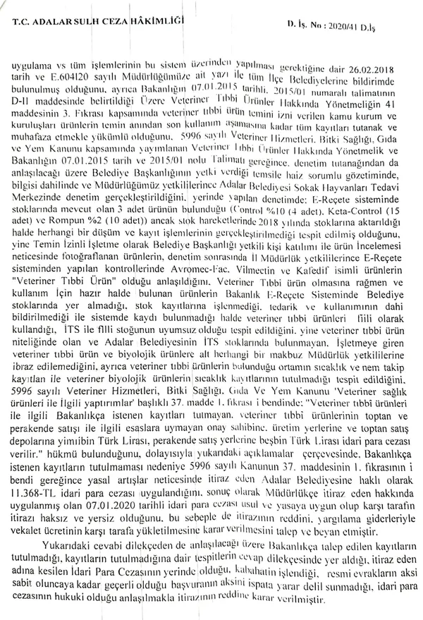 İBB'deki at skandalında yeni gelişme! Kayıp atlara kayıt dışı ilaç