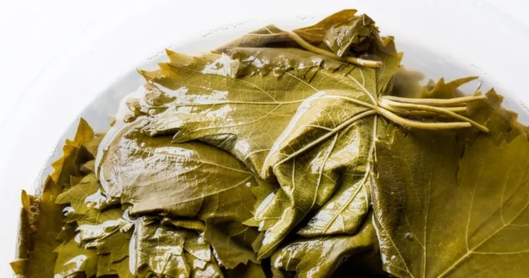 1 Kilo Yaprak Kaç Saatte Sarılır? Tek Başına 1 Kilo Yaprak Sarmak Kaç Saat Sürer?