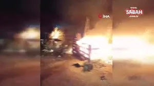 Ahırda çıkan yangında 4 büyükbaş telef oldu | Video