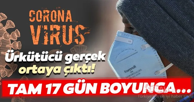 Corona virüs ile ilgili ürkütücü gerçek ortaya çıktı! Tam 17 gün boyunca...