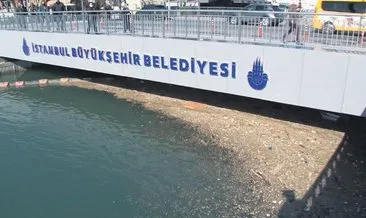 Kurbağalıdere çöplüğe döndü