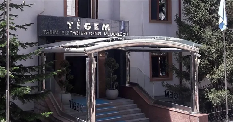 TİGEM 60 safkan Arap koşu tayı satacak