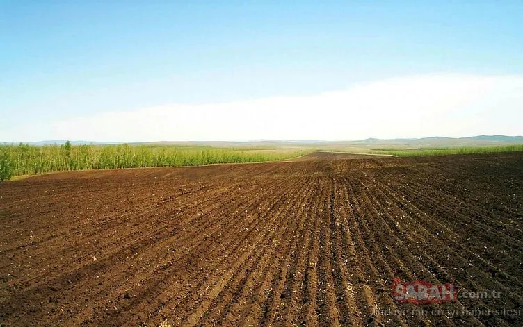 SON DAKİKA: İki yıl ekilmeyen tarım arazileri kiralanacak: Yeni uygulama nasıl olacak?