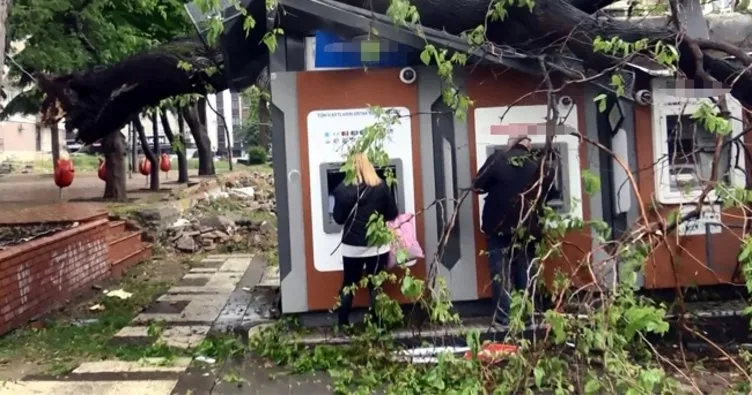 ATM’lerin üzerine ağaç devrildi: Para çekmeye devam ettiler
