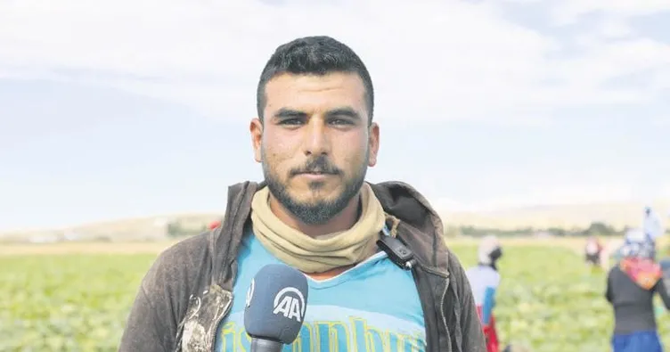 İç anadolu’nun çukurovası: çubuk