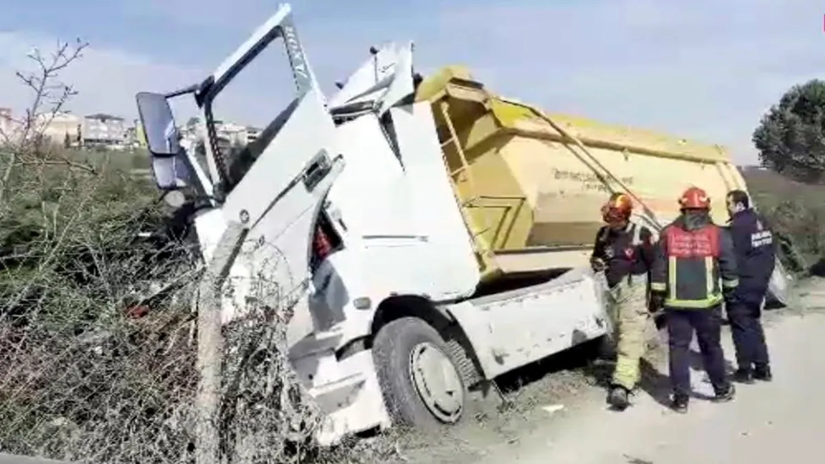 Hafriyat kamyonu ağaca çarpıp durabildi