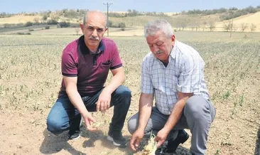 9 bin dekar alan zarar gördü