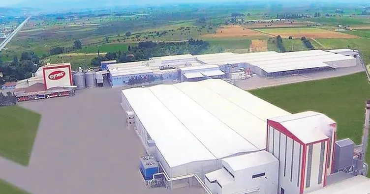 Aynes yeniden TMSF’ye devredildi