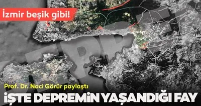 Son dakika haberi: Prof. Dr. Naci Görür, İzmir depreminin yaşandığı fayı paylaştı