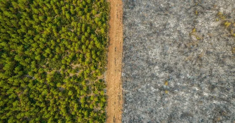 Foto muhabirimizin çektiği fotoğraf dünyada gündem oldu