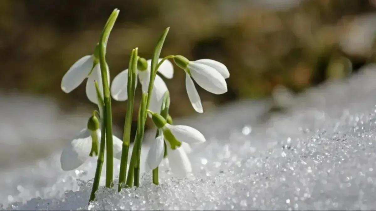 CEMRE DÜŞME TARİHLERİ 2026 | Havaya, suya, toprağa... İlk cemre ne zaman ve nereye düşecek?