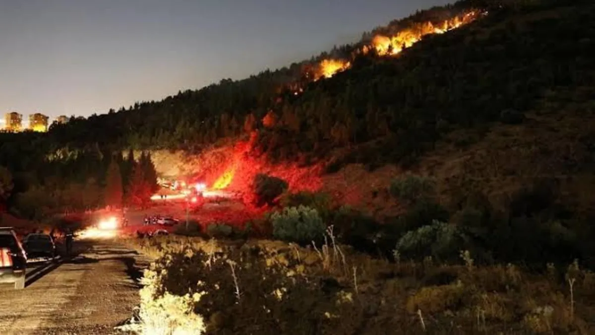 İzmir'de orman yangınına müdahale sürüyor