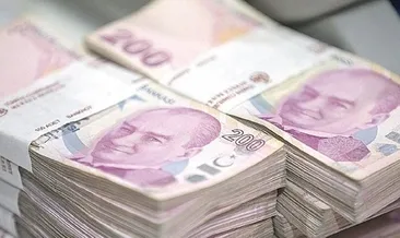 Son dakika: Tarımsal destek ödemeleri bugün hesaplara yatıyor