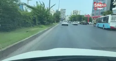 Karayoluna çıkan köpek sürücüyü peşinden böyle koşturdu | Video