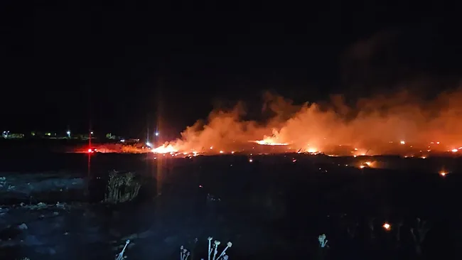 burhaniyede-korkutan-ortu-yangini-1781824723090.jpeg