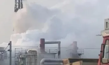 Hindistan’da zehirli gaz can aldı