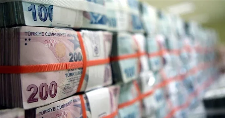 TL cinsi mevduat yüzde 1,6 arttı