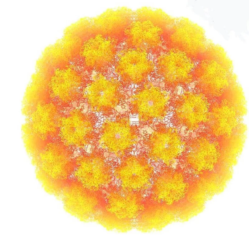 hpv enfeksiyonlari nedir nasil bulasir