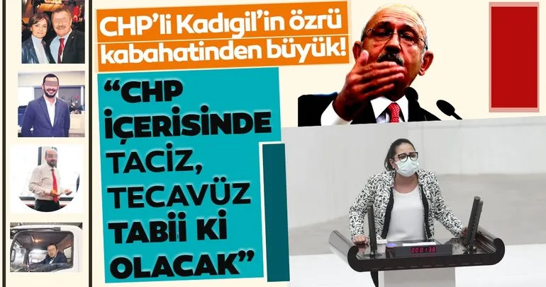 CHP’li Kadıgil’in özrü kabahatinden büyük: CHP içinde taciz, tecavüz tabii ki olacak