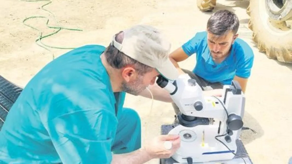 Süt alerjisine genetik çözüm – Yaşam Haberleri Süt alerjisine genetik çözüm – Yaşam Haberleri