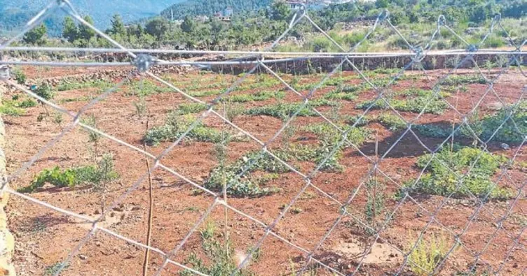 Su krizi devam ediyor