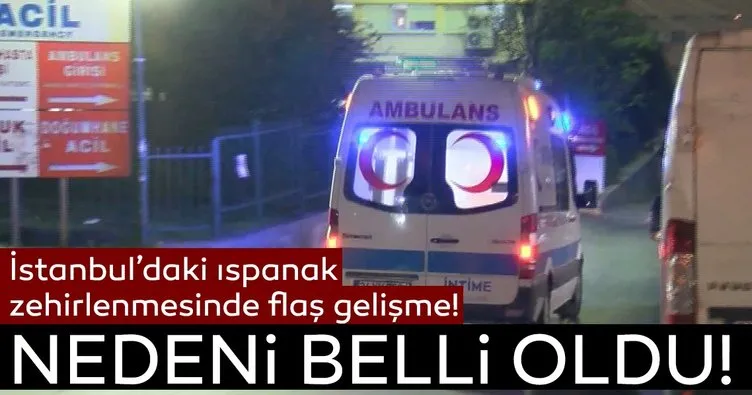 SON DAKİKA! İstanbul’da ıspanak zehirlenmesi | Yetkililerden zehirlenmenin sebebine ilişkin açıklama geldi