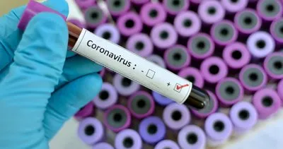 Koronavirüsü Kovid-19 kaynağı hakkında şoke eden iddia! İngiliz bilim adamının açıklaması kan dondurdu