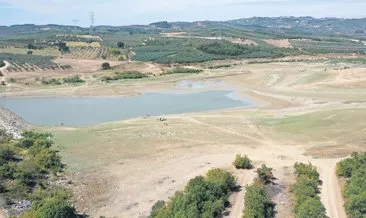 Kraliçenin incirini kuraklık vurmasın