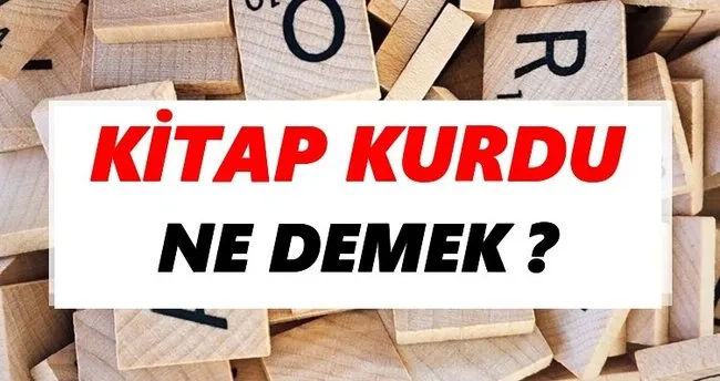 Kitap kurdu Ne Demek? TDK’ya Göre Kitap kurdu Sözlük Anlamı Nedir?