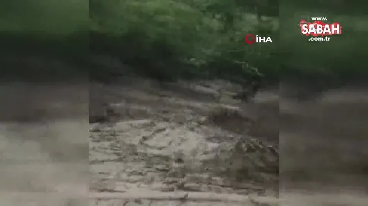 Meksika’da sel: 8 ölü, 2 kayıp | Video