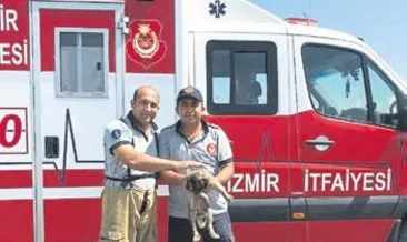 Betona sıkışan köpek kurtarıldı