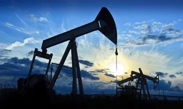 Ham petrol ithalatı ekimde azaldı