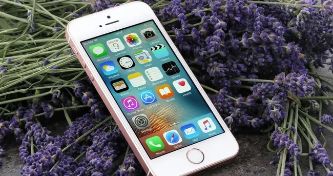 iPhone 9 Plus hakkında ilk detaylar! iPhone 9 Plus’ın özellikleri nedir?