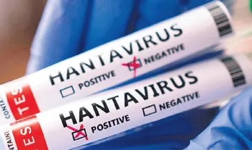 Dünyada hantavirüs alarmı!