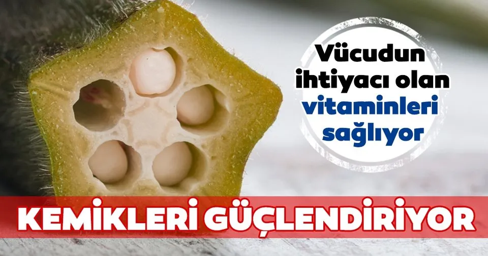 Kemikleri Guclendiren Besinler Nelerdir Iste Kemikleri Guclendiren Mucizevi Besinler Saglik Haberleri