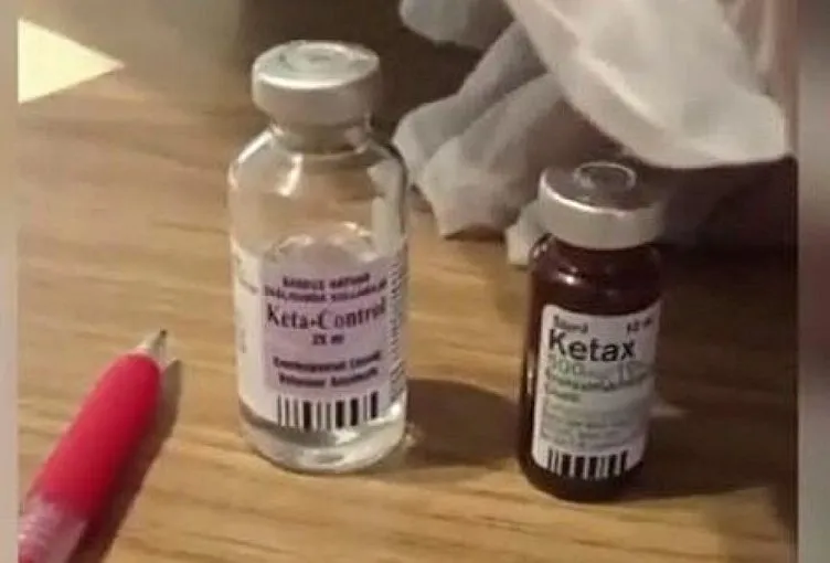 FETÖ’cü psikiyatrist Süleyman Salih Zoroğlu skandalında şoke eden detaylar! Her satırı korkunç: Tuvalette kendimi ısırdım