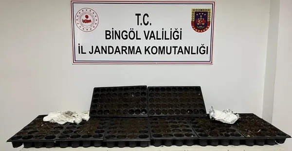 bingolde-kok-kenevir-ele-gecirildi4-hukumlu-yakalandi-1782128730165.jpg