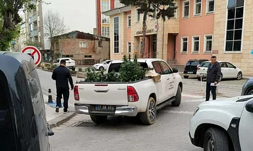 Dairesinde uyuşturucu yetiştiren şüpheli yakalandı! #canakkale