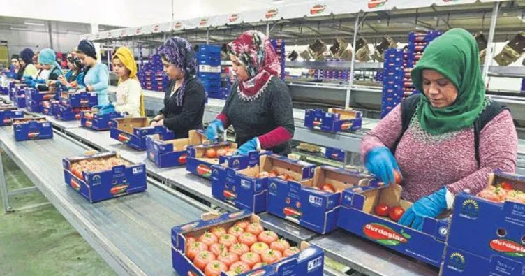 İhracat hız kesmedi