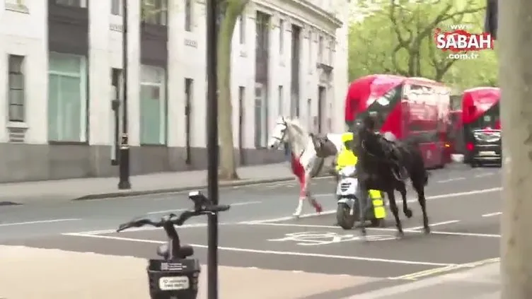 Süvari atları Londra’yı birbirine kattı! Yaralılar var | Video