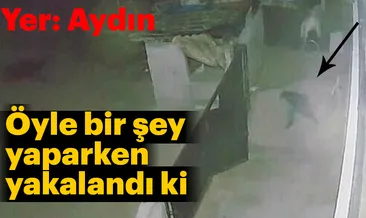 Tavuk çalan hırsızı böyle kovaladı