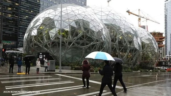 Amazon'dan yağmur ormanlarından ilham alan ofis