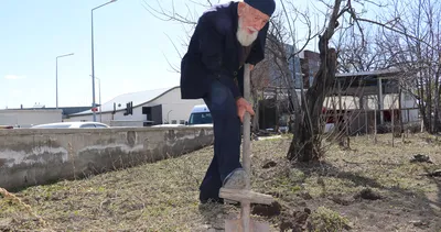 99 yaşındaki Kaya Dede’nin uzun yaşam sırrı: Hiç ilaç kullanmadım! Küçüklüğümden beri bu sebzeyi yedim