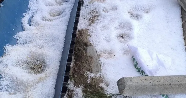 Tarsus’ta dolu yağışı zarara yol açtı