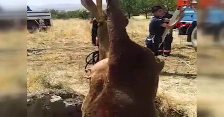 Kuyuya düşen ineği itfaiye kurtardı