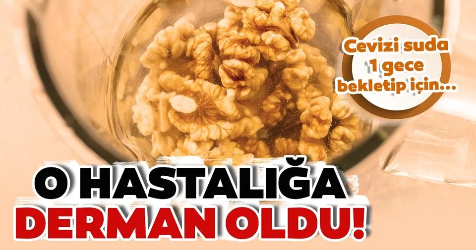 Cevizi Suda 1 Gece Bekletip Icerseniz O Hastaligin Dermeni Oluyor Iste Super Besin Cevizin Faydalari Son Dakika Haberler