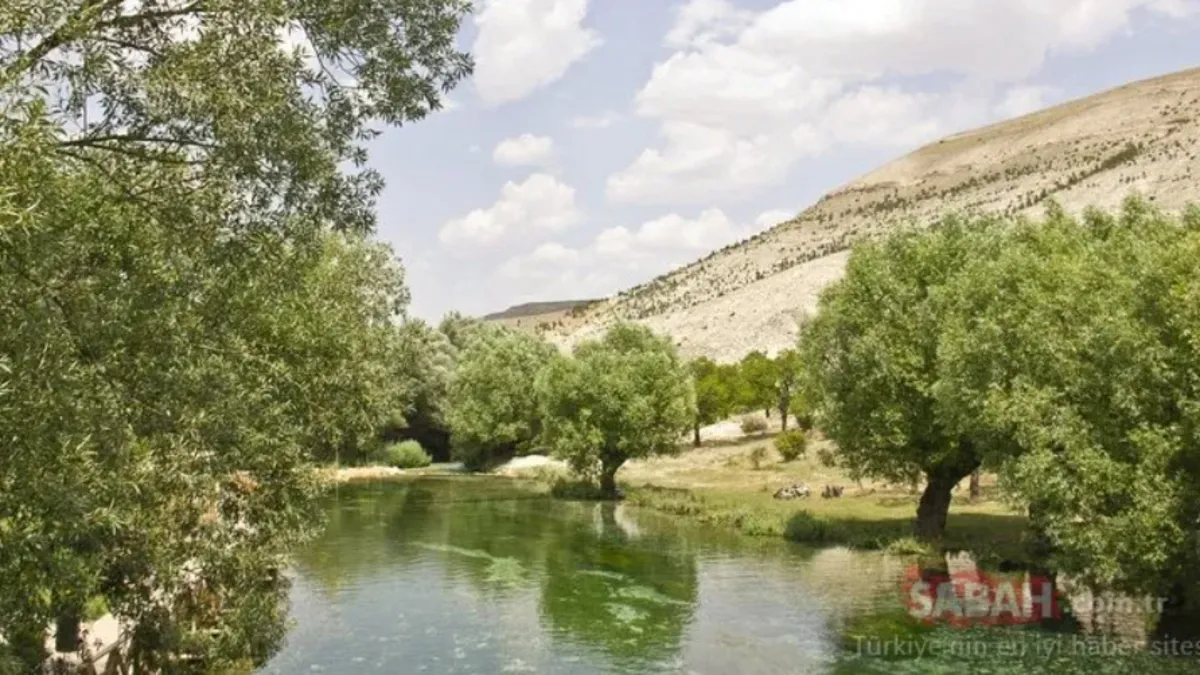 Türkiye’de en fazla köy olan il hangisi? Tam 1200’den fazla köy bulunuyor…