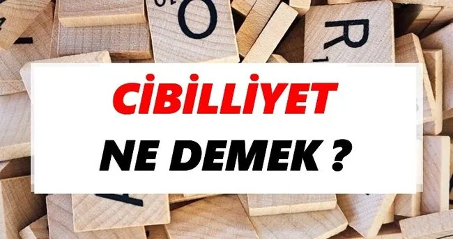 Cibilliyet Ne Demek? TDK’ya Göre Cibilliyet Sözlük Anlamı Nedir?