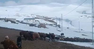 Nisan’da kış şoku! Ağrı’da köy yolu karla kapandı #agri
