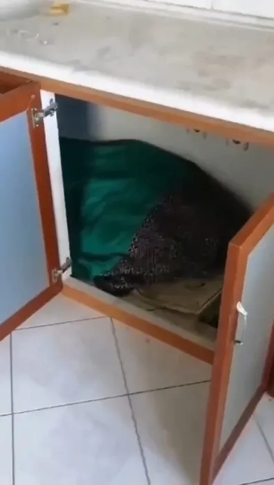 Samsun’da ilginç anlar: 9 yıl aranması olan şahıs mutfak tezgahı altında yakalandı!